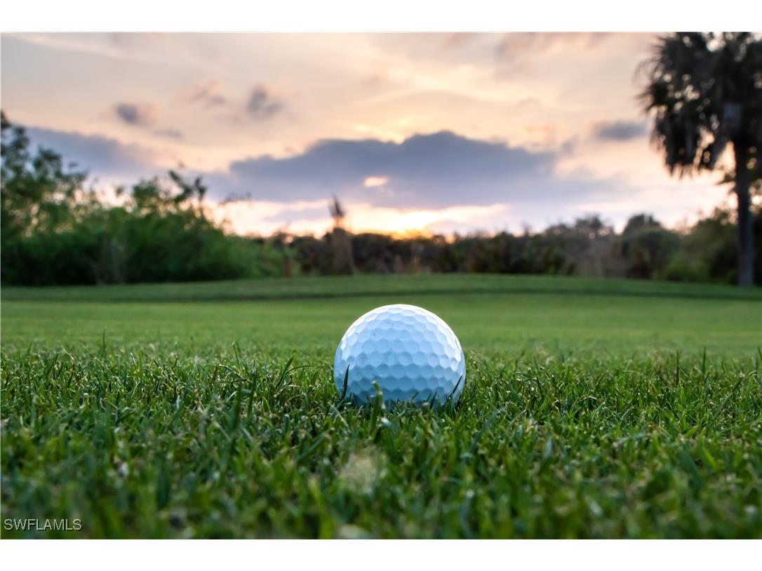 428 NW 9th Street Cape Coral FL 33993 225017649 image10