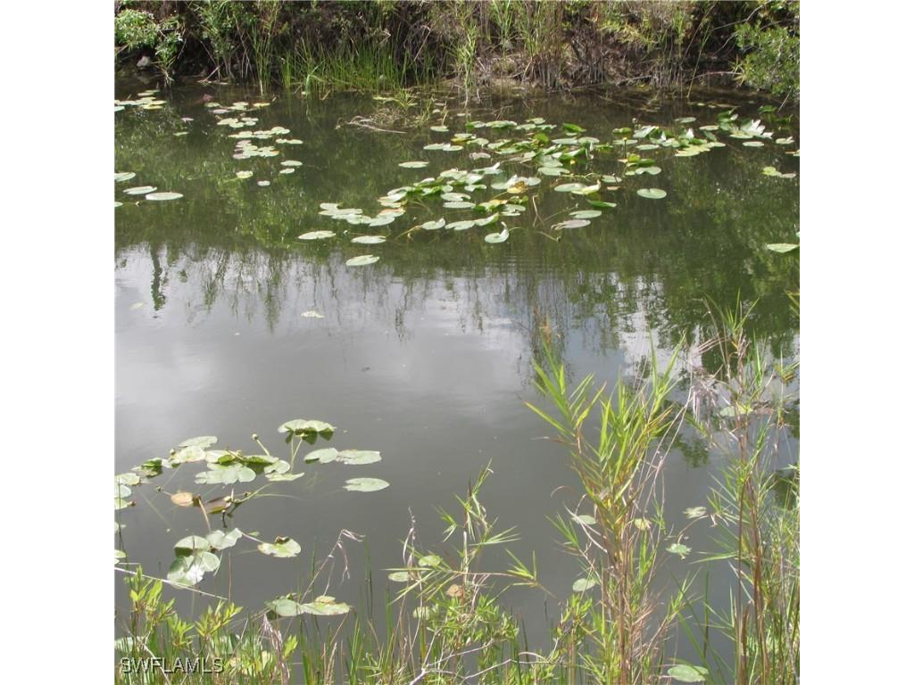 4410 Connection Avenue Cape Coral FL 33909 225051695 image4