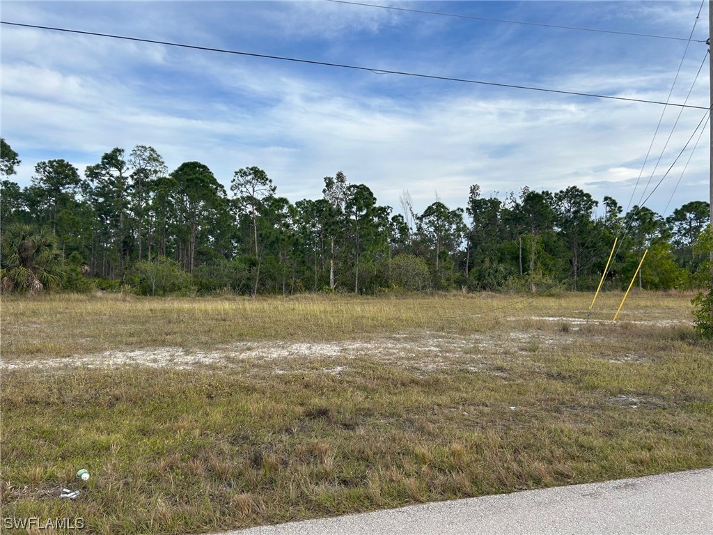 4501 NW 34th Avenue Cape Coral FL 33993 224000556 image3