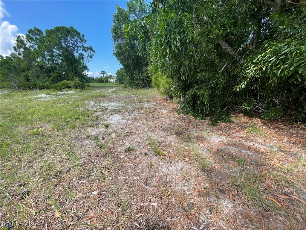 4513 NW 34th Place Cape Coral FL 33993 224067294 image12