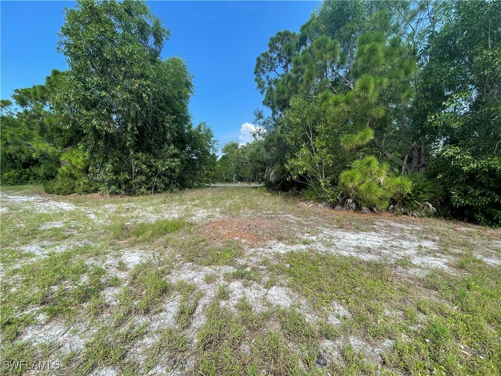 4513 NW 34th Place Cape Coral FL 33993 224067294 image9