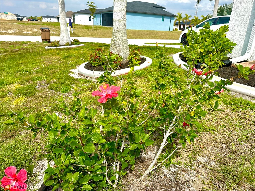 4520 NW 34th Terrace Cape Coral FL 33993 224018622 image39