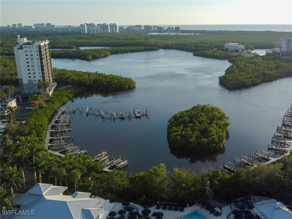 455 Cove Tower Drive #303 Naples FL 34110 225028306 image35