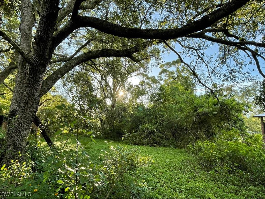 4550 Fort Keis Avenue Fort Denaud FL 33935 223053105 image1