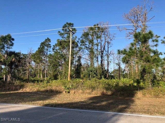 458 Columbus Boulevard S Lehigh Acres FL 33974 225048839 image2