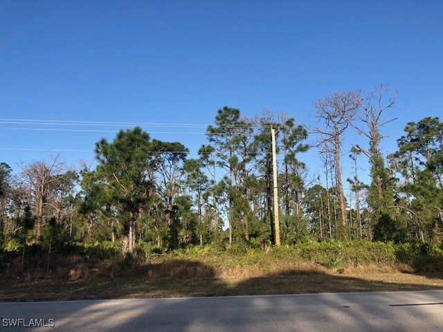 458 Columbus Boulevard S Lehigh Acres FL 33974 225048839 image4