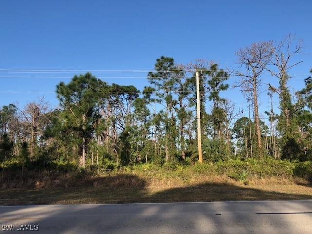 458 Columbus Boulevard S Lehigh Acres FL 33974 225048839 image6