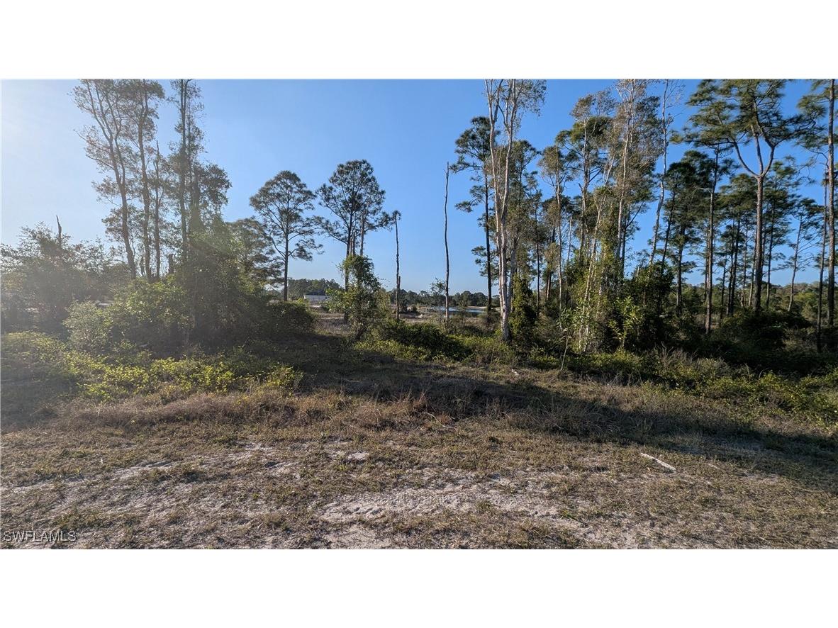 461 Burrstone Drive Lehigh Acres FL 33974 225027568 image2