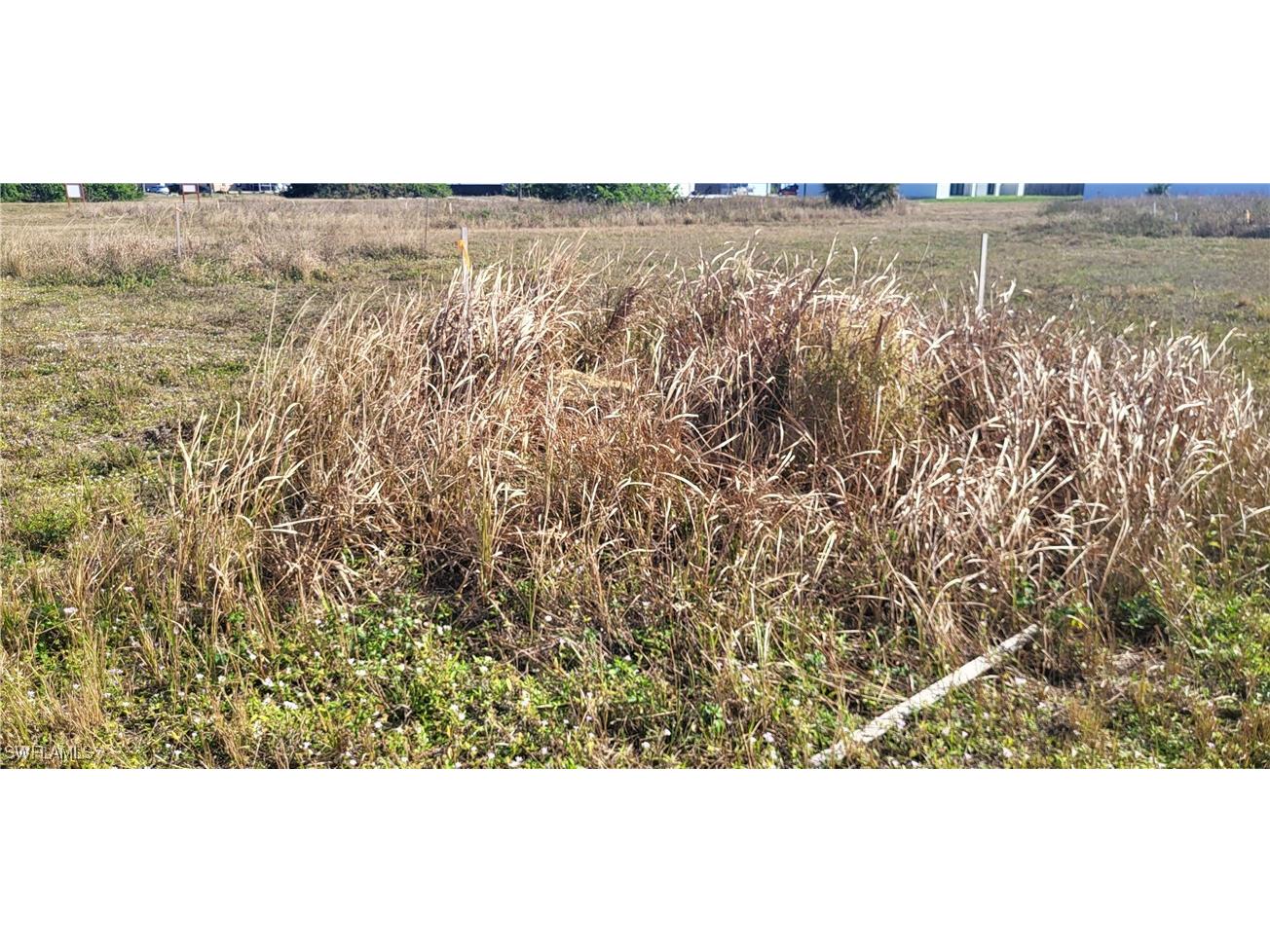 469 NE Juanita Place Cape Coral FL 33909 224101354 image2