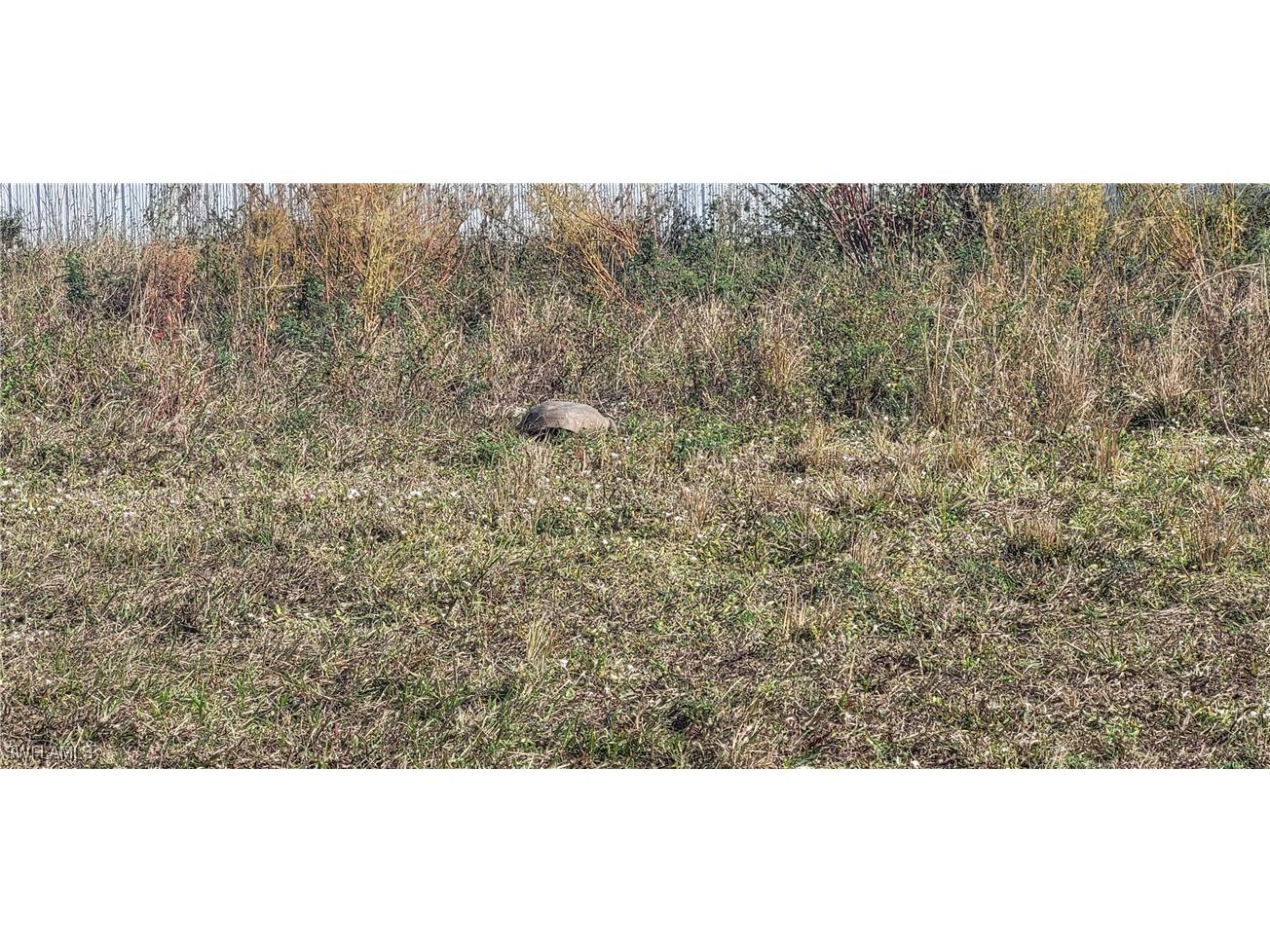 469 NE Juanita Place Cape Coral FL 33909 224101354 image5