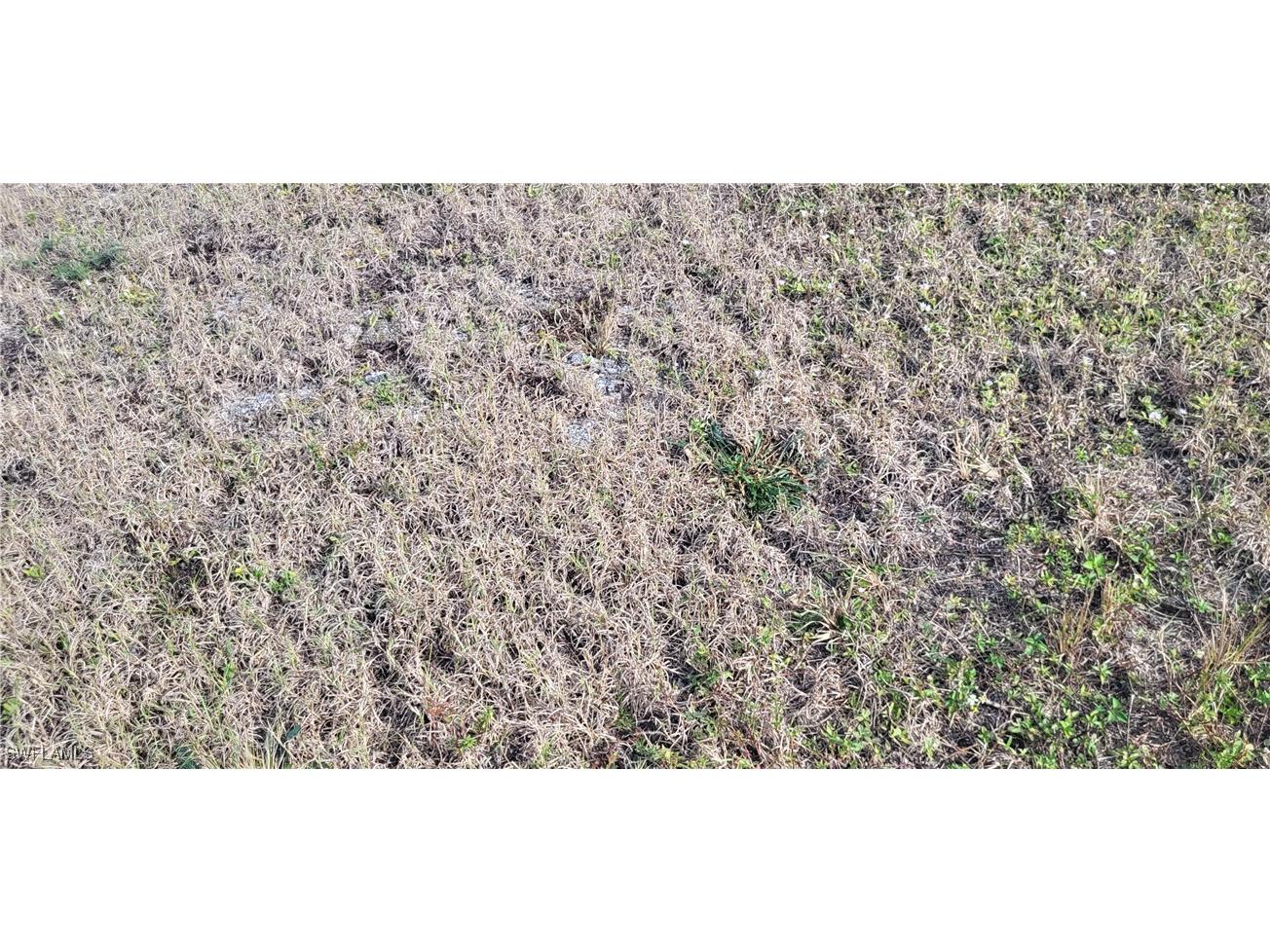 469 NE Juanita Place Cape Coral FL 33909 224101354 image8