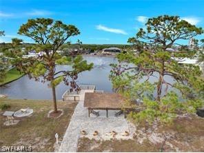 4700 Pago Pago Lane Bonita Springs FL 34134 224062839 image12