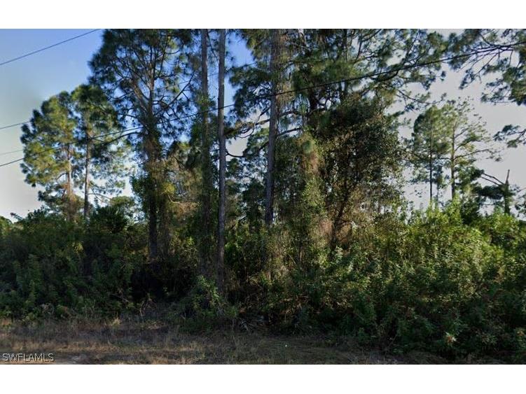 4725/4727 14th Street SW Lehigh Acres FL 33973 224046503 image1