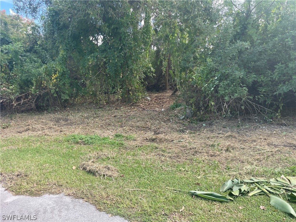 4741 Lone Pine Court Fort Myers FL 33905 224033327 image10