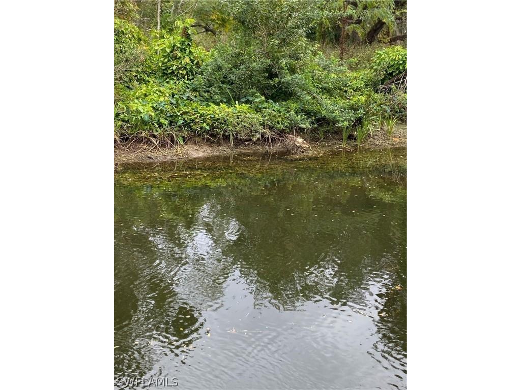 4741 Lone Pine Court Fort Myers FL 33905 224033327 image5