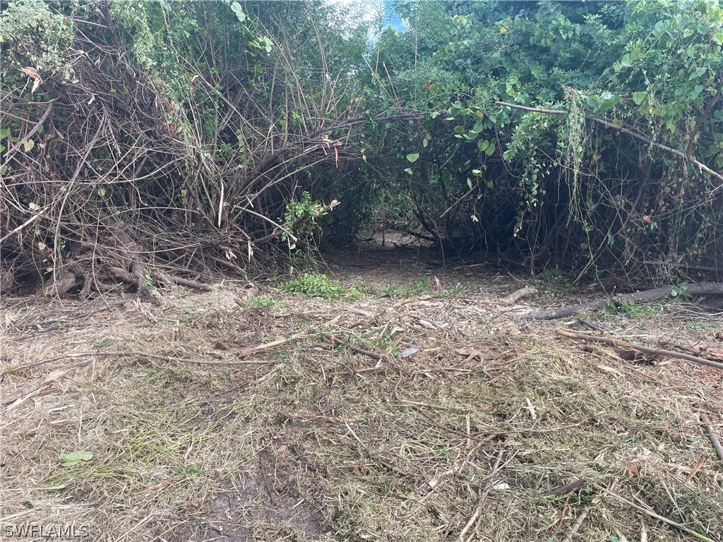 4741 Lone Pine Court Fort Myers FL 33905 224033327 image8