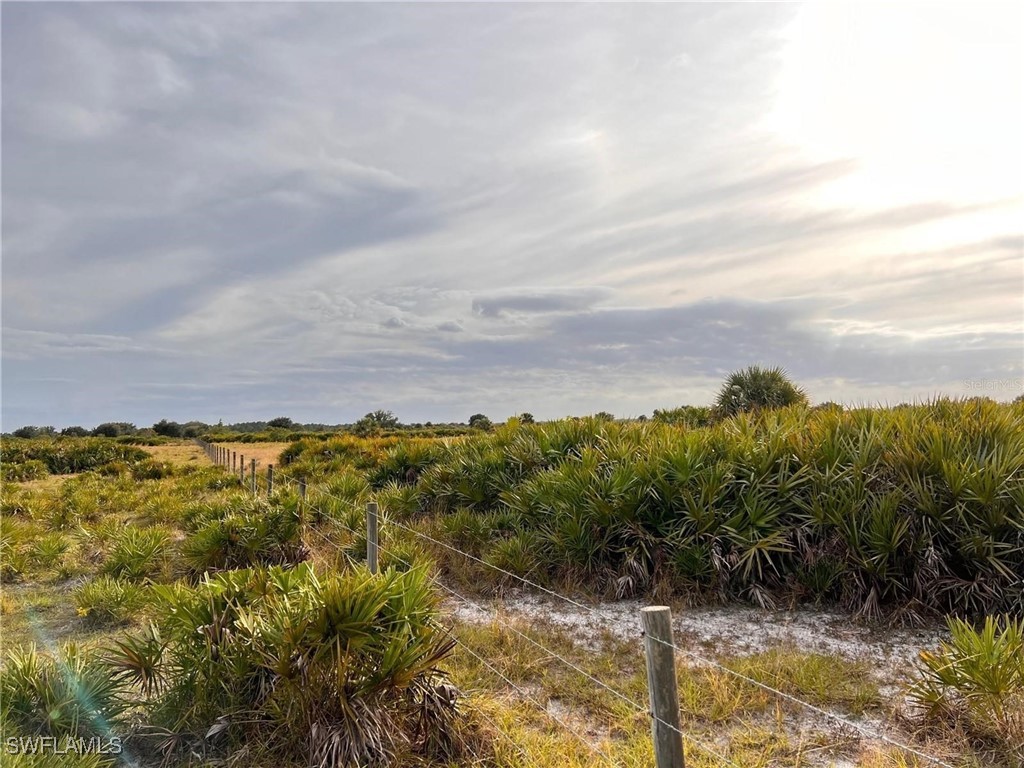 47511 Neal Road Punta Gorda FL 33982 224093847 image8