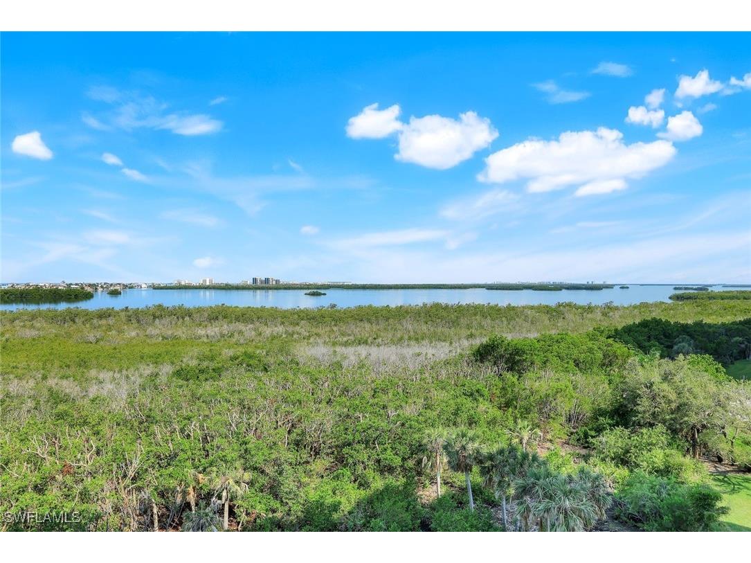 4801 Island Pond Court #602 Bonita Springs FL 34134 225047845 image28