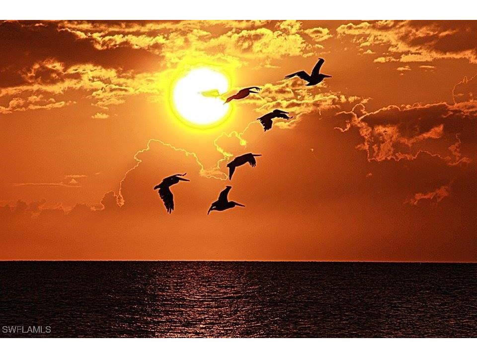 4870 Coral Road Fort Myers Beach FL 33931 224101955 image30