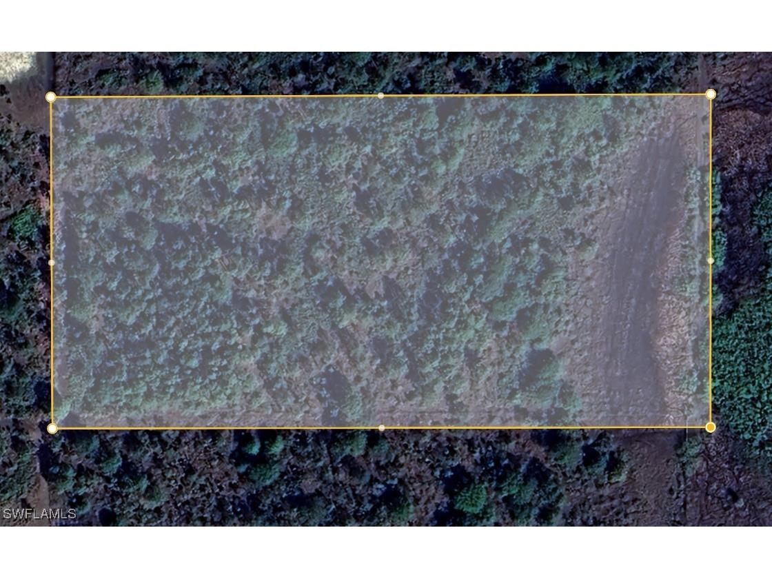 49155 Bermont Road Punta Gorda FL 33982 225047687 image3