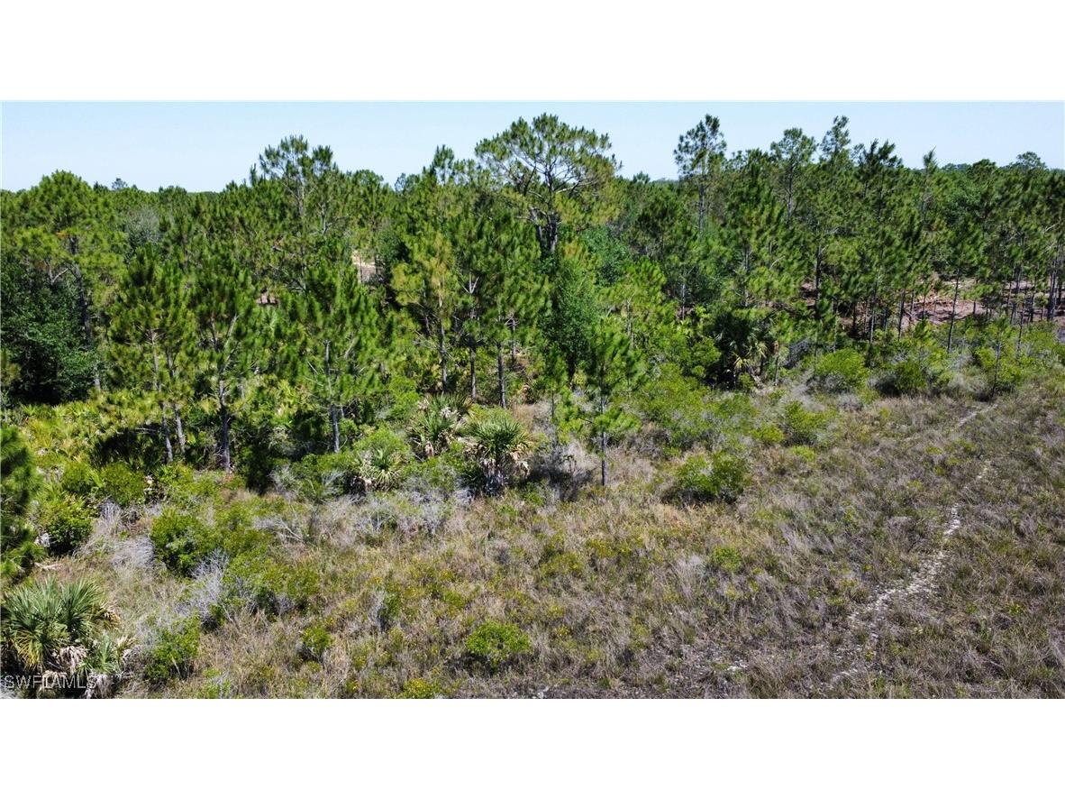 49155 Bermont Road Punta Gorda FL 33982 225047687 image4