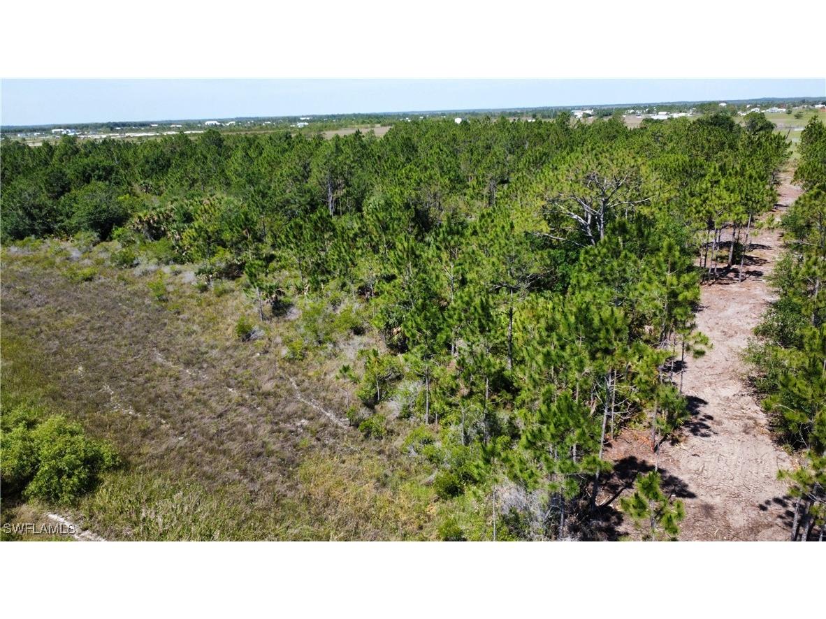 49155 Bermont Road Punta Gorda FL 33982 225047687 image5