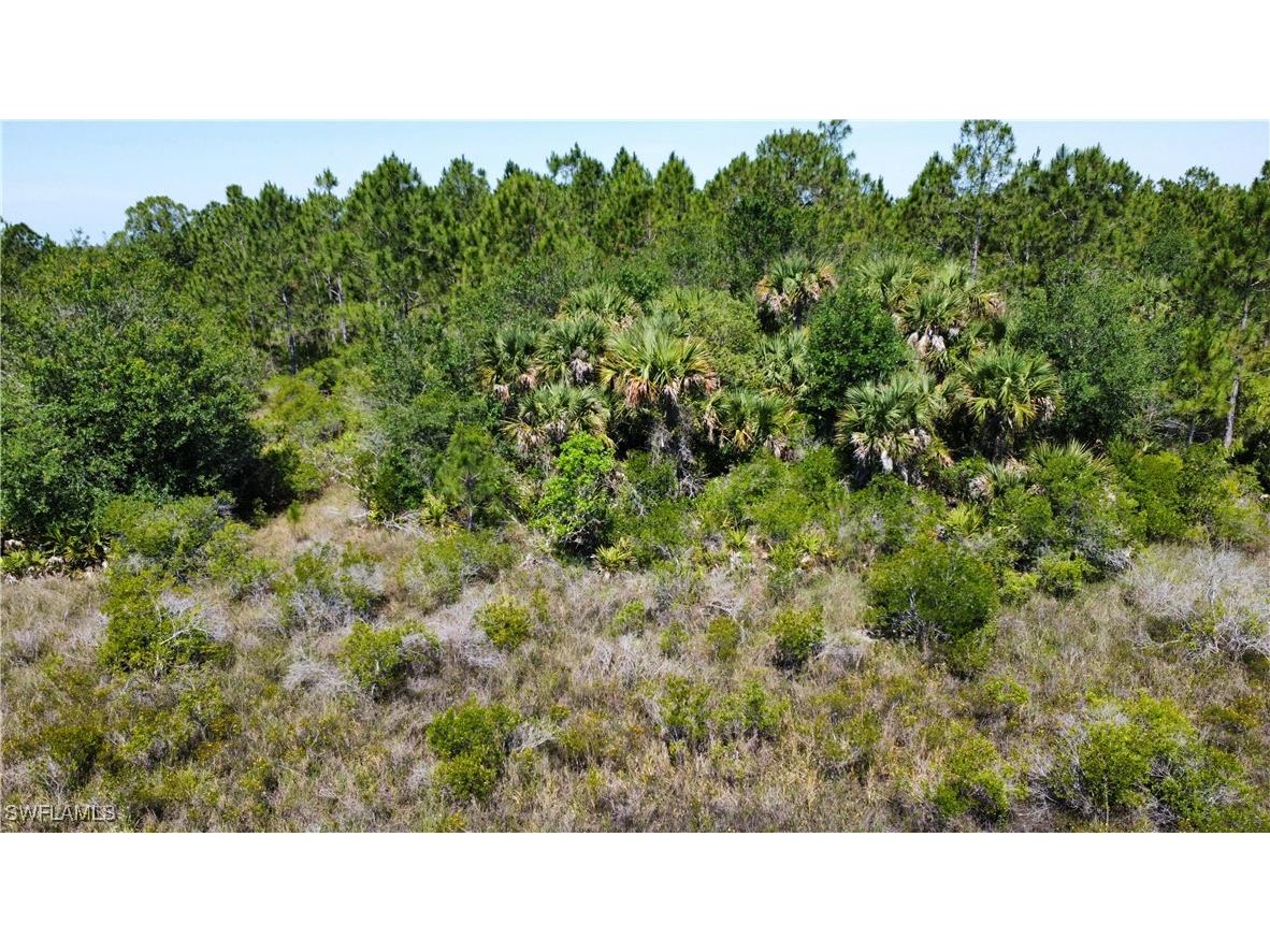 49155 Bermont Road Punta Gorda FL 33982 225047687 image6