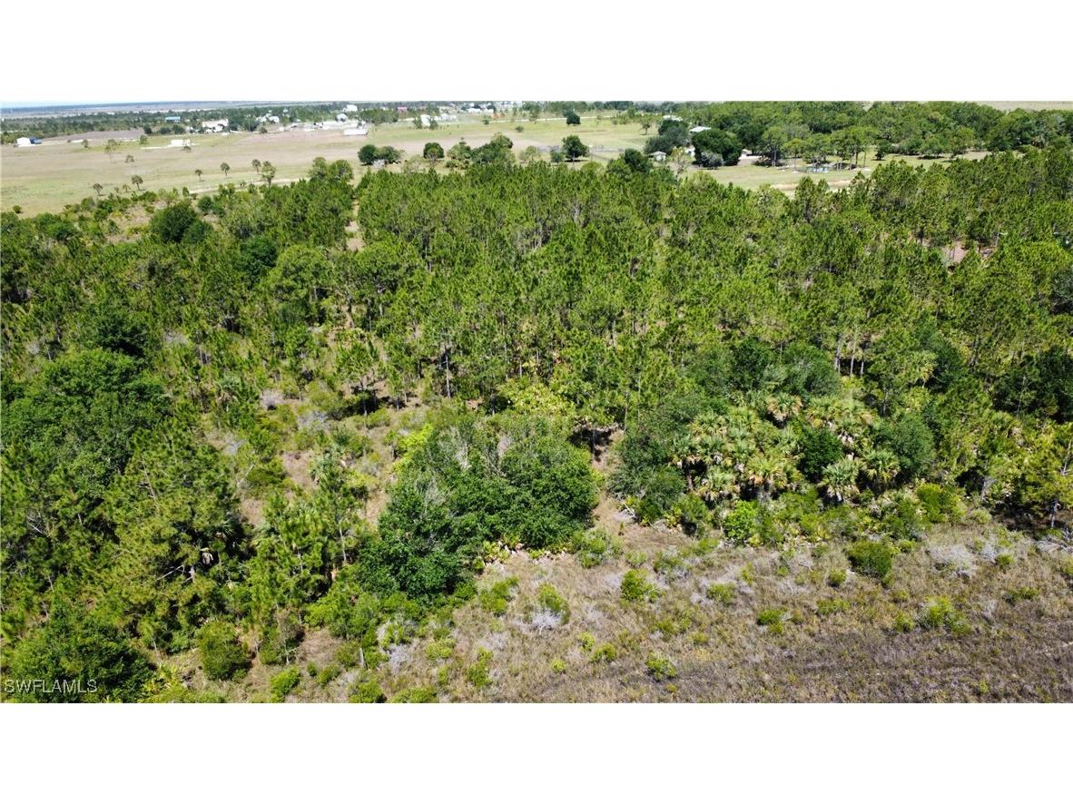 49155 Bermont Road Punta Gorda FL 33982 225047687 image7