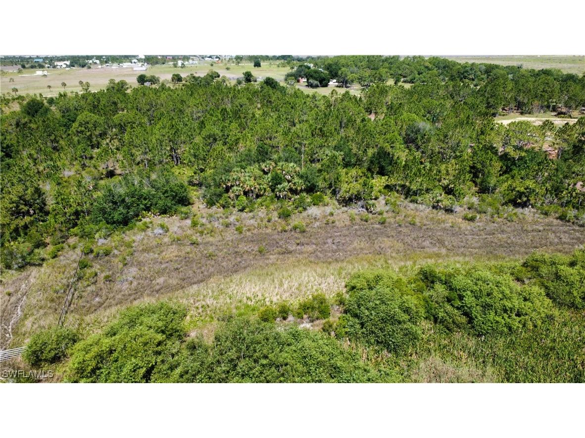 49155 Bermont Road Punta Gorda FL 33982 225047687 image8