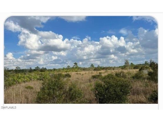 49169 Bermont Road Punta Gorda FL 33982 225012332 image1