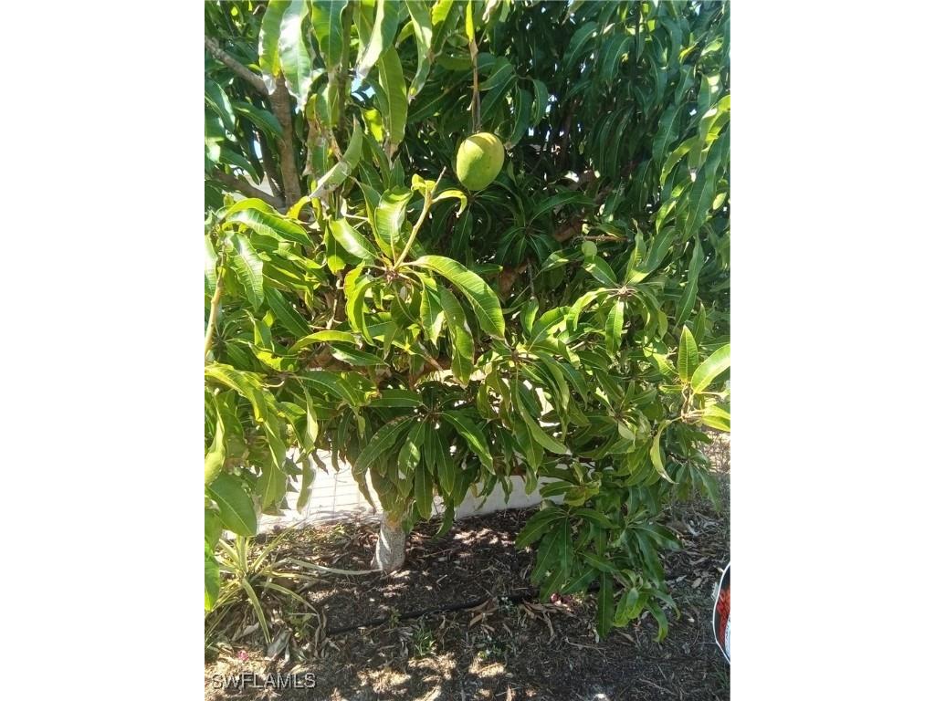 4925 Porky Lane Saint James City FL 33956 225037705 image32