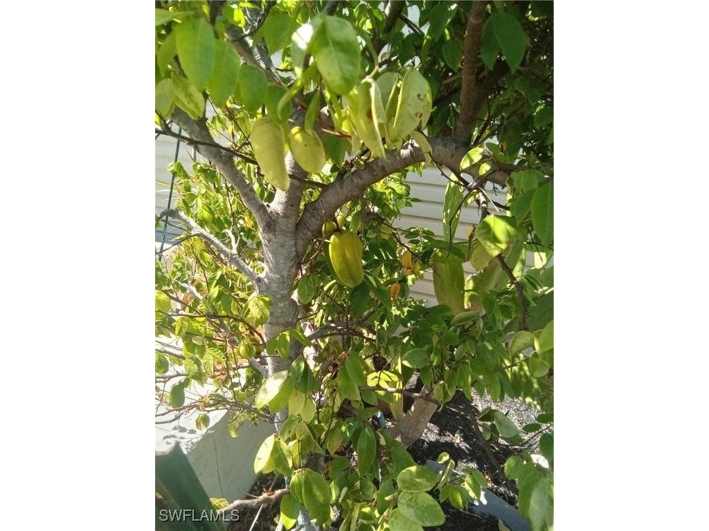 4925 Porky Lane Saint James City FL 33956 225037705 image33