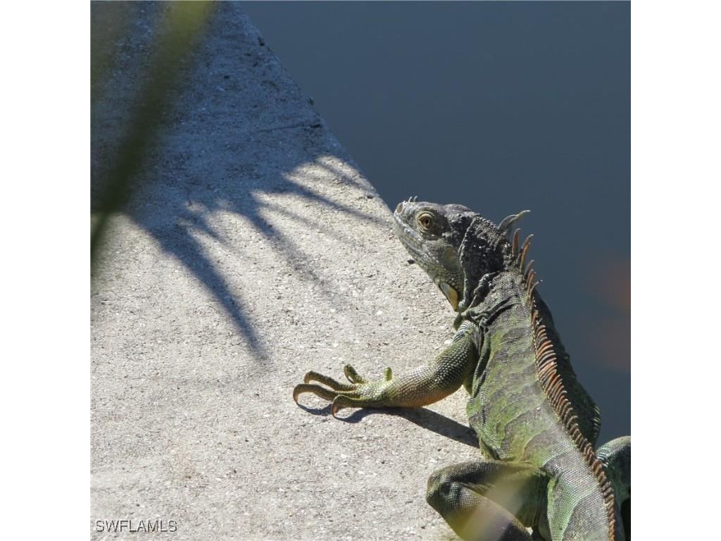 5004 Gulfgate Lane Other FL 33956 225009286 image14