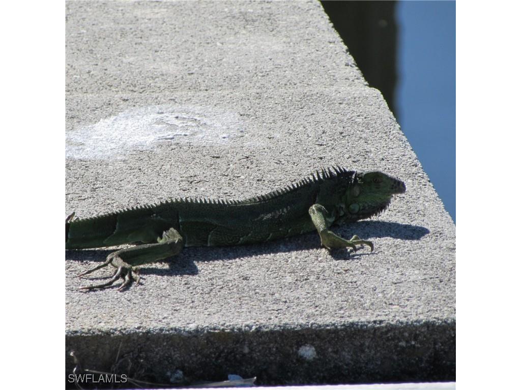 5004 Gulfgate Lane Other FL 33956 225009286 image16