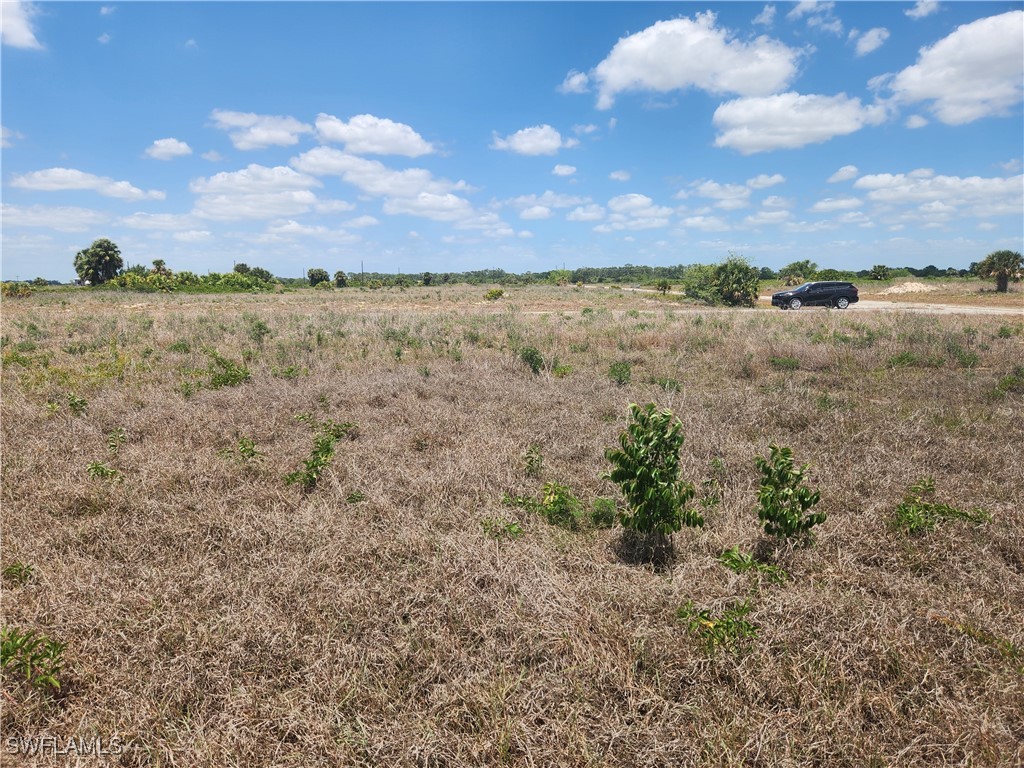 501 Leon Court Labelle FL 33935 225041127 image4