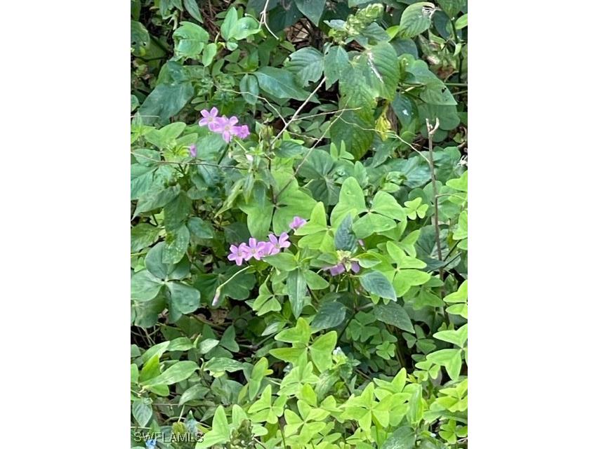 501 Norris Road Labelle FL 33935 225008956 image16