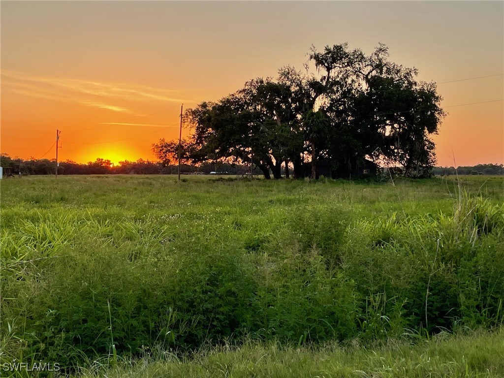 501 Norris Road Labelle FL 33935 225008956 image2