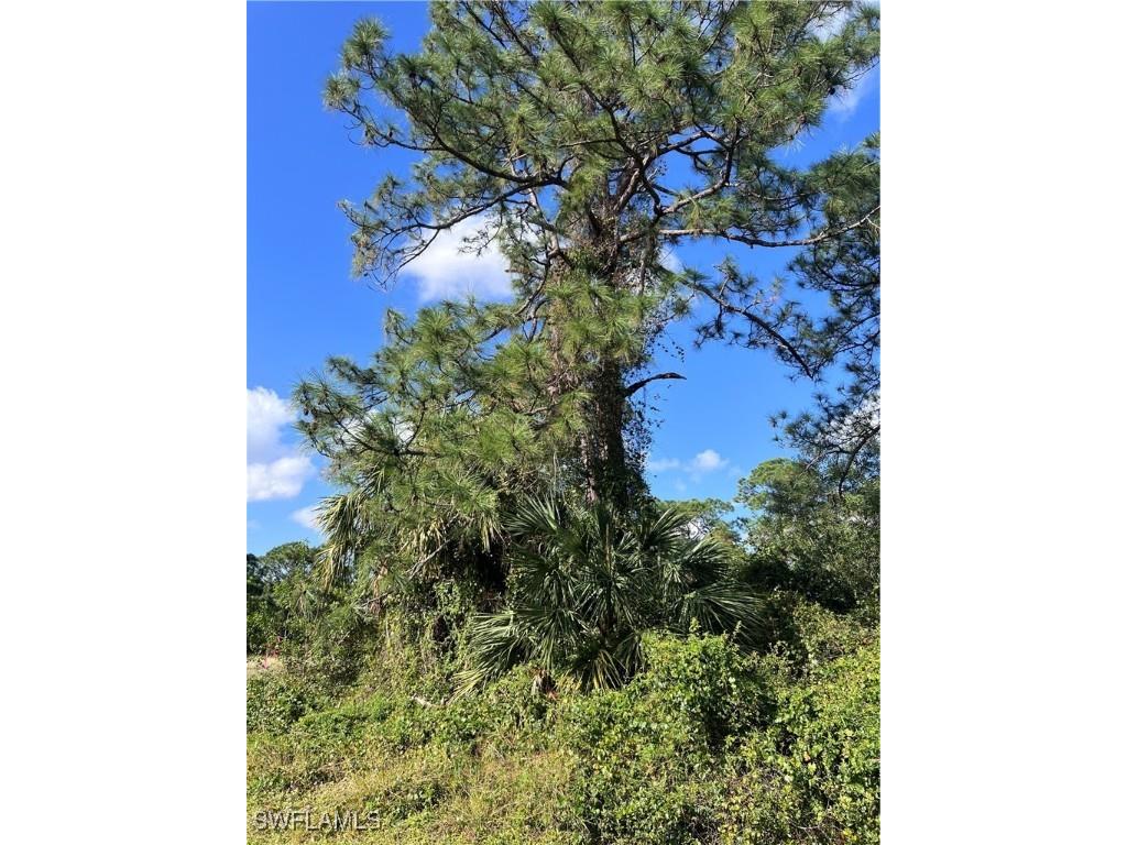 5010 Day Court Labelle FL 33935 224087783 image2