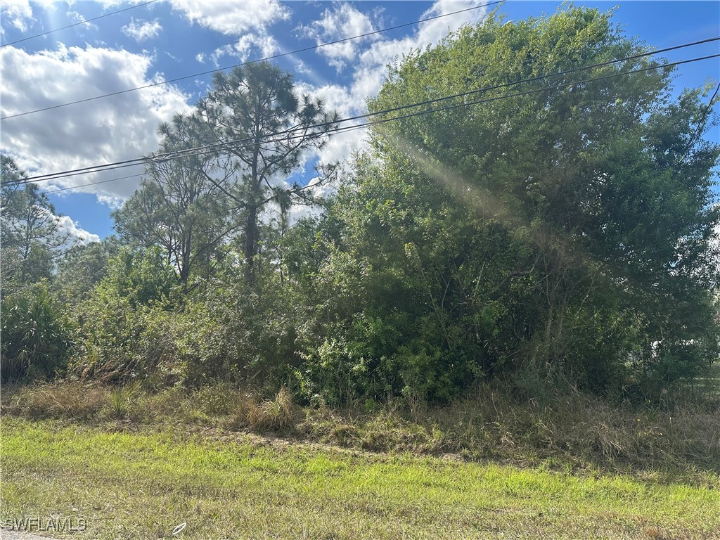 5045 44th Street NE Naples FL 34120 225017017 image11