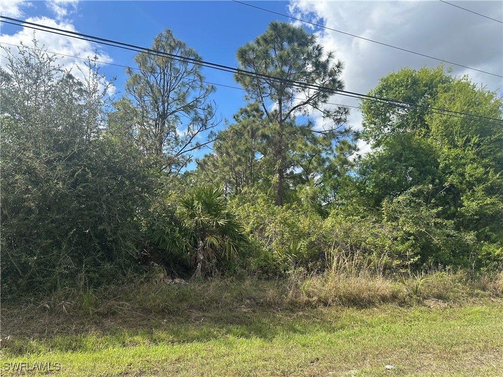 5045 44th Street NE Naples FL 34120 225017017 image3