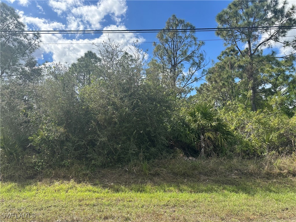 5045 44th Street NE Naples FL 34120 225017017 image6