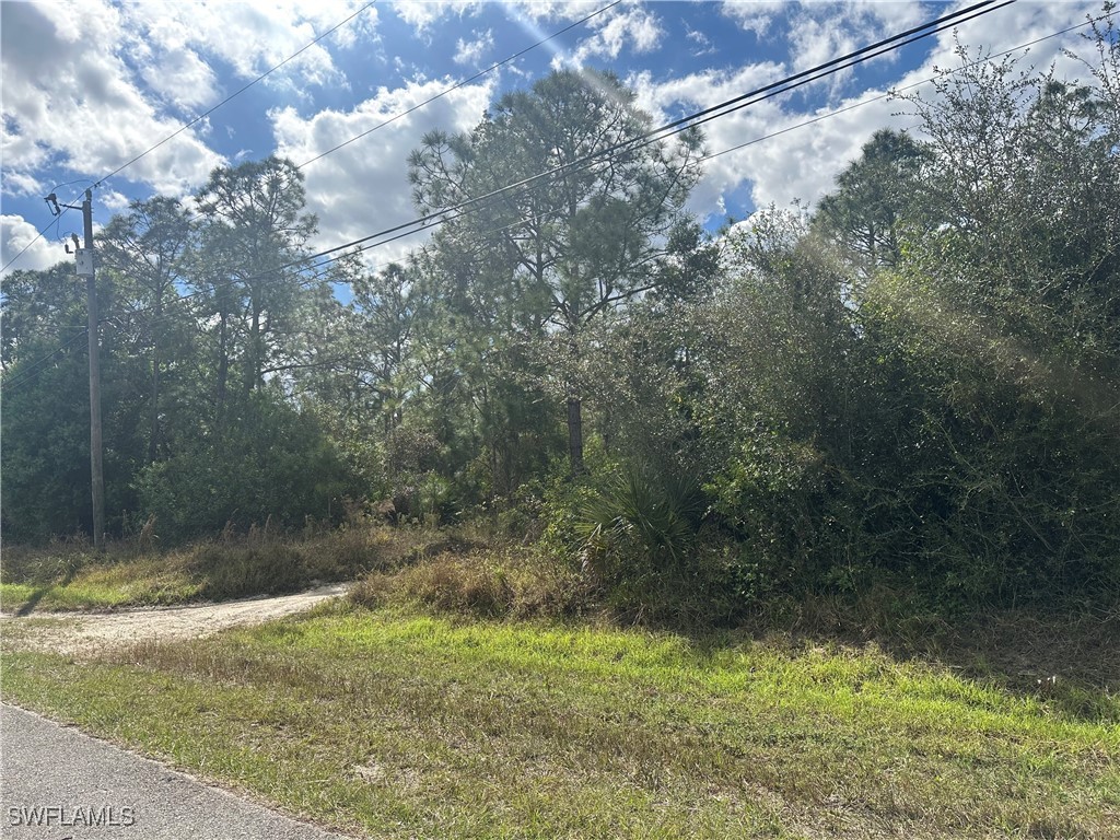 5045 44th Street NE Naples FL 34120 225017017 image7