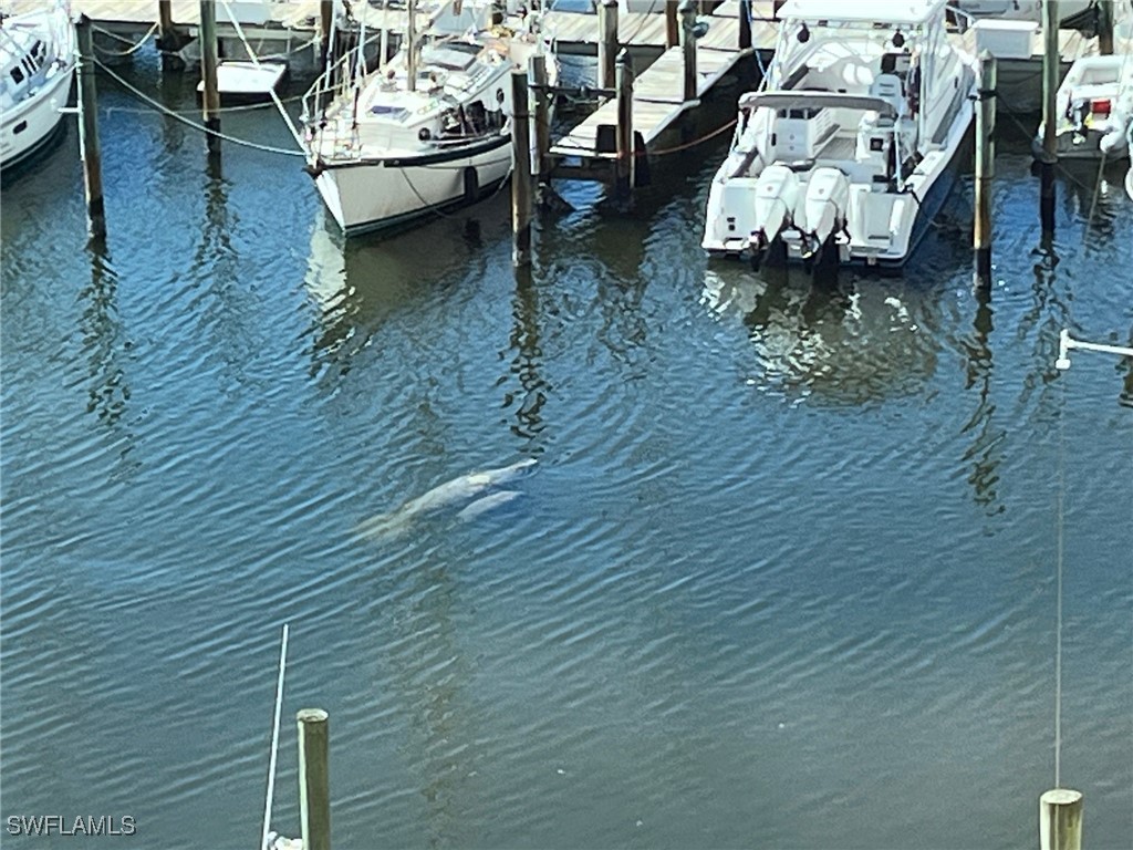 512 Islamorada Boulevard Punta Gorda FL 33955 225015594 image44