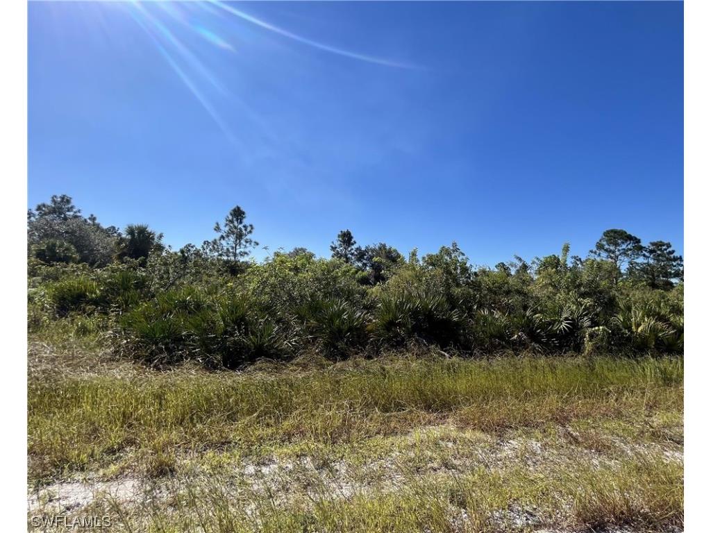 517 Johns Avenue Lehigh Acres FL 33972 223076881 image1