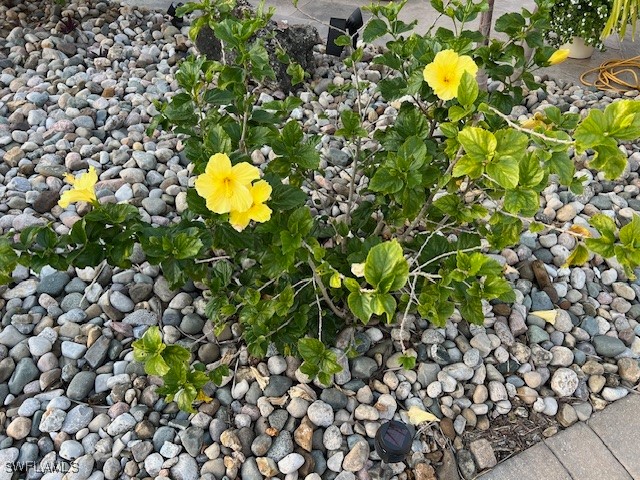 5193 Cypress Trail Resort Circle Fort Myers FL 33905 225021175 image25