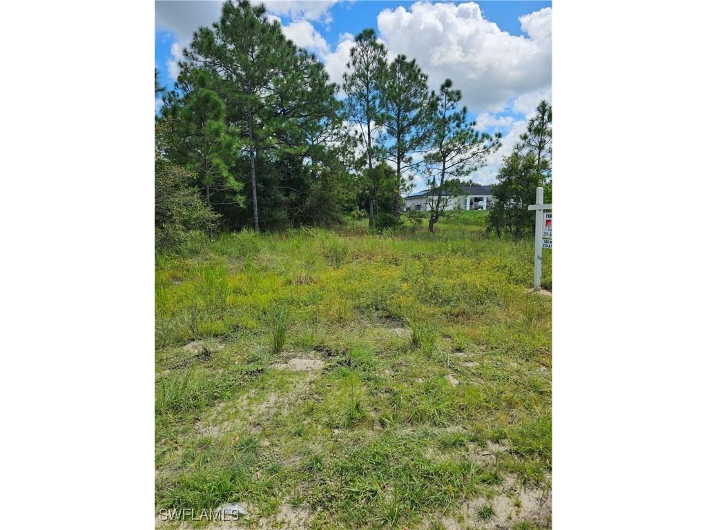 521 Edward Hall Avenue S Lehigh Acres FL 33974 224074195 image1