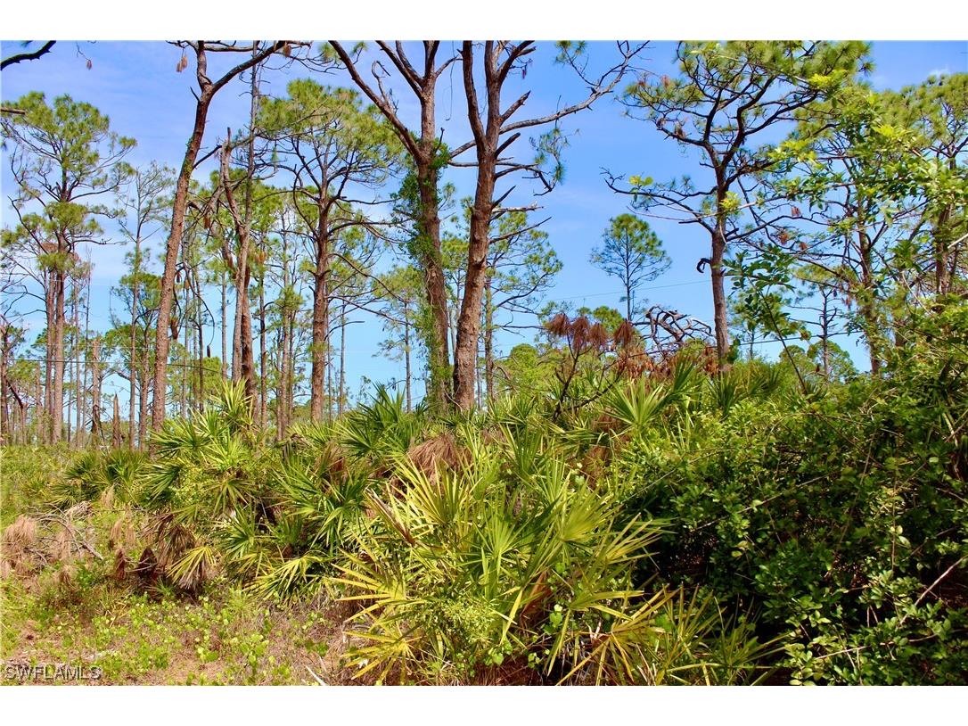 5237 Chaney Terrace Port Charlotte FL 33981 223022983 image8