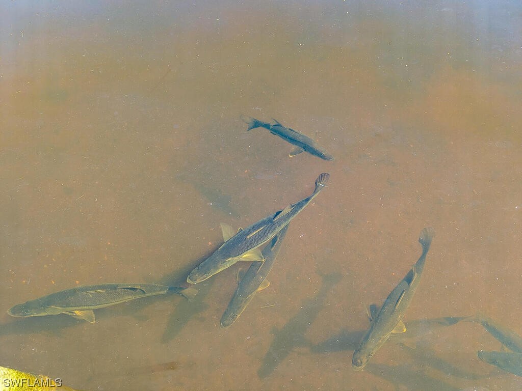 525 Newport Drive Naples FL 34114 224017949 image13