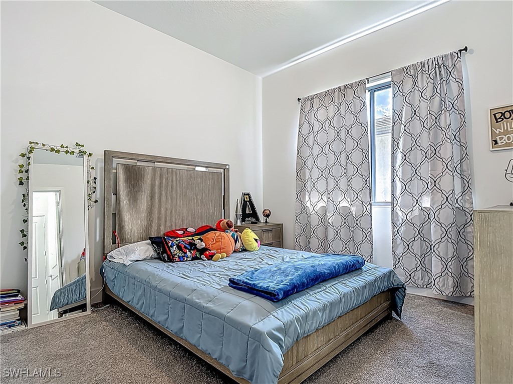 5285 Marano Drive Ave Maria FL 34142 225045528 image27