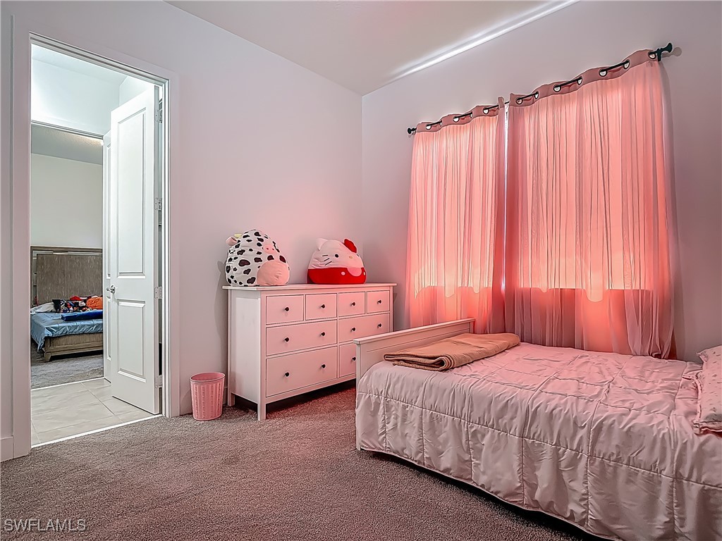 5285 Marano Drive Ave Maria FL 34142 225045528 image34